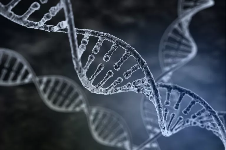 DNA